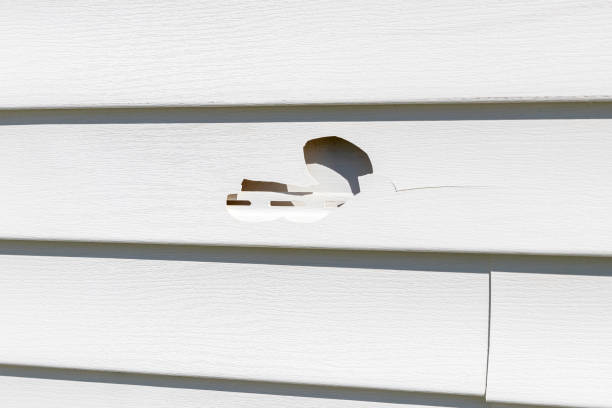 Affordable siding repair and maintenance services in Mcfarland, CA