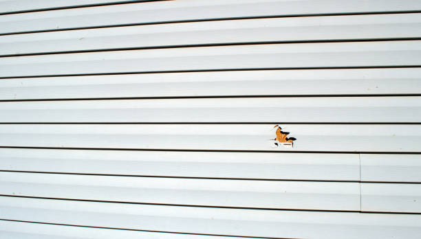 Best Historical Building Siding Restoration  in Mcfarland, CA